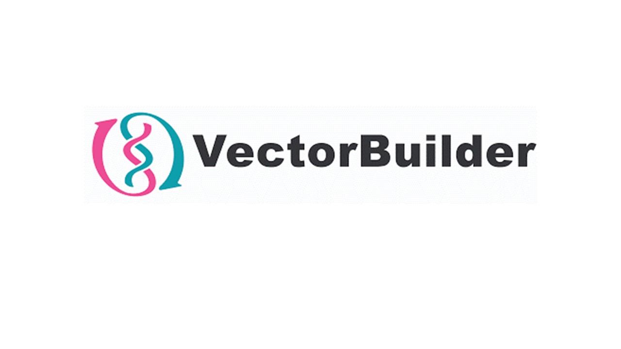 VectorBuilder Won First Prize in Major Innovation Competition