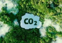 Boost Credibility with SGS Green Marks’ ‘Product Carbon Footprint’ and ‘Carbon Footprint Reduced’ Claim Verification