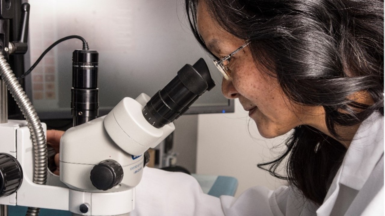 Dr. Yan Liu of Indium Corporation Named as Macny’s 2025 Innovator Of The Year Dr. Yan Liu of Indium Corporation Named as Macny’s 2025 Innovator Of The Year