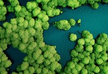 SGS Strengthens Sustainability Leadership with Participation at COP30 SGS Strengthens Sustainability Leadership with Participation at COP30